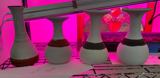 Vases next to a pink grow light.
